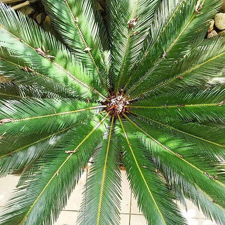 상트루스 La Belle Martinique 빌라 외부 사진