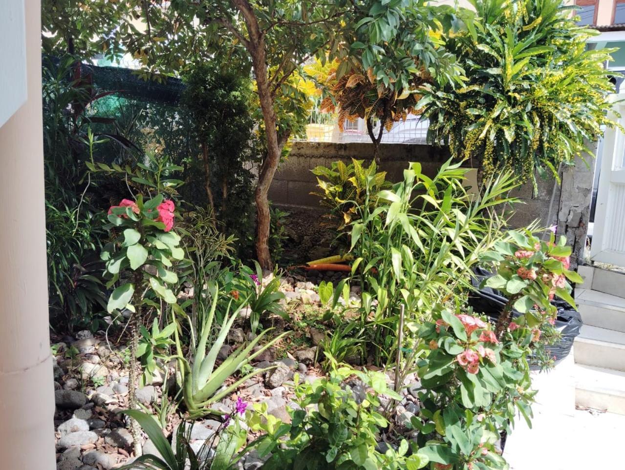 상트루스 La Belle Martinique 빌라 외부 사진